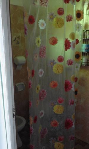 Картинка - 5