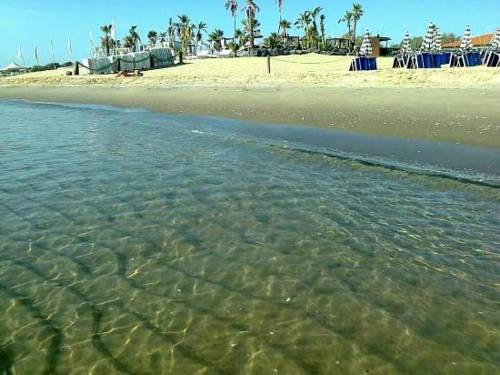 Картинка - 24